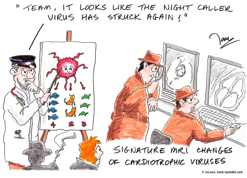 3-cardiotrophic-vir#3B0001