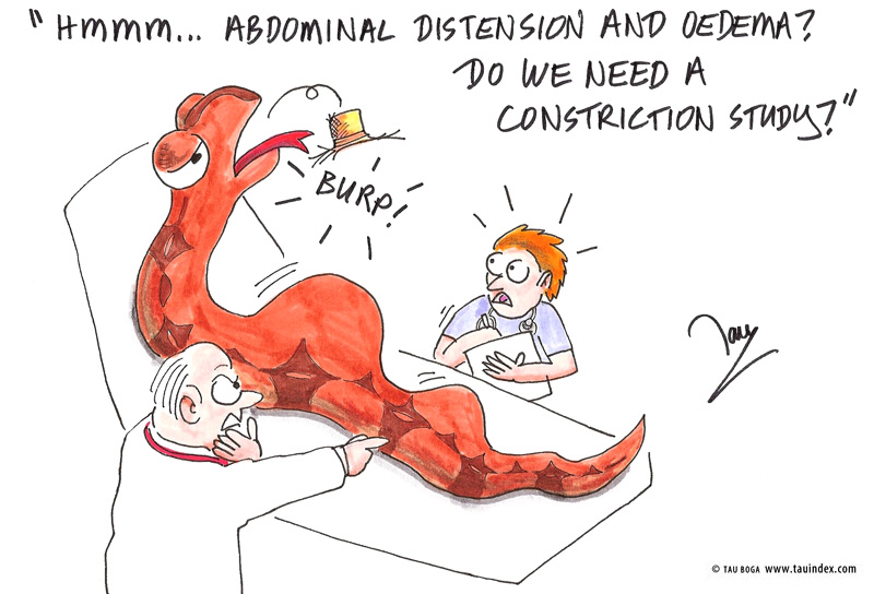 3-construction-tau-boga