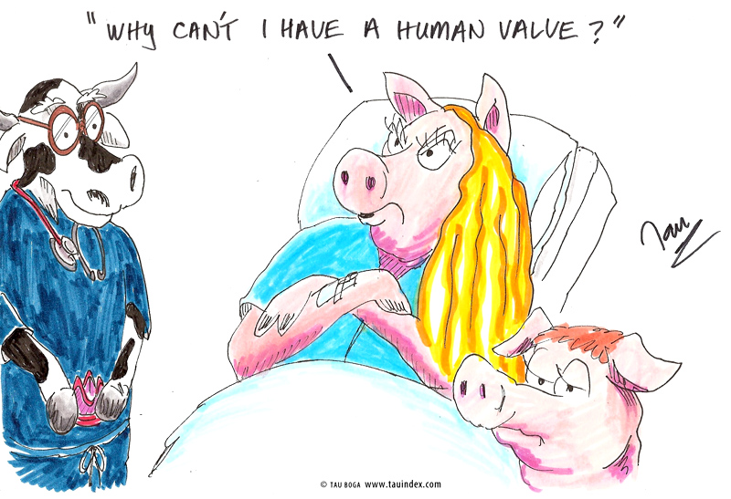 4-Human-valve-card-boga