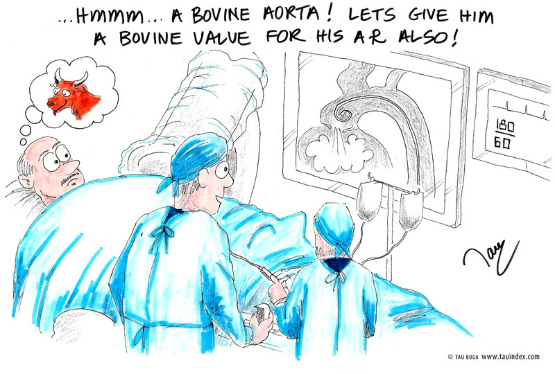 5-bovine-aorta-card#300001