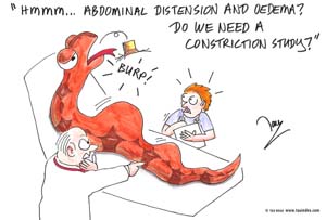 3-construction-tau-boga