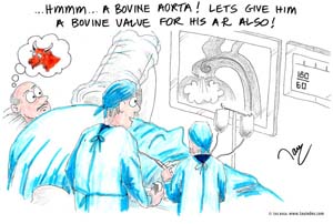5-bovine-aorta-card#300001