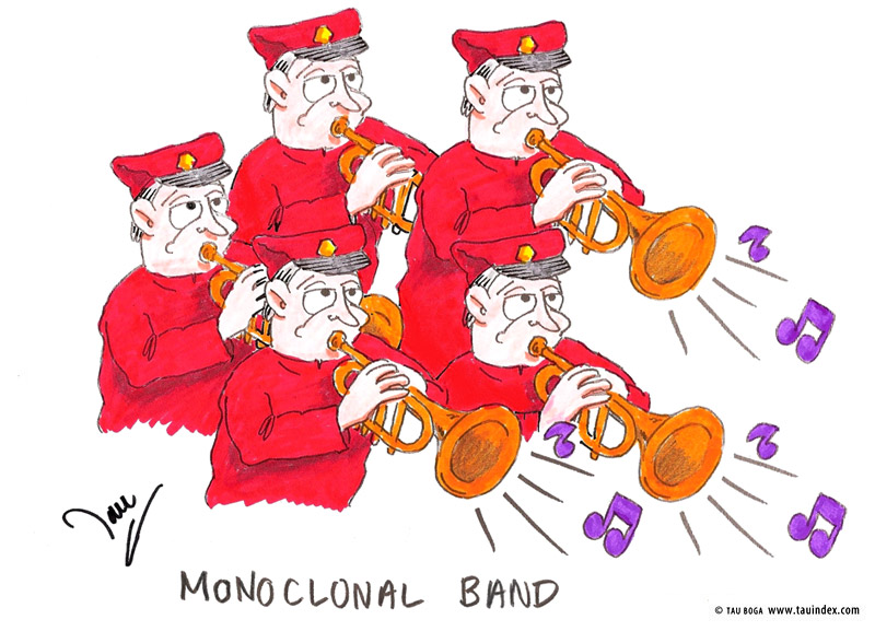 3-monoclonal-band-gen-med
