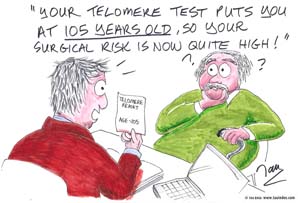 2-telomere-genmed-boga